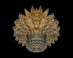 Mandelbulb529 view 2